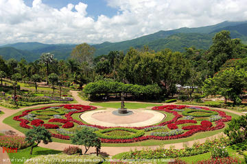1 Day Car Tour 4: Visit Doi Tung botanical gardens plus the Golden Triangle and Chiang Saen