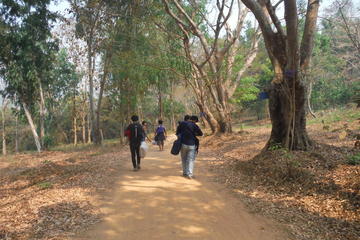 Private Trekking and Local Temple Day Tour in Chiang Rai