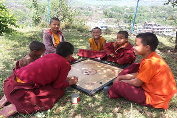 Full-Day Tibetan Cultural Tour to Tibetan Settlements