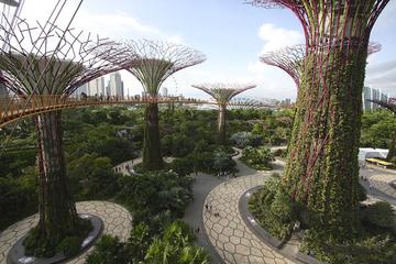 Morning Workout at Gardens By The Bay and Walk or Jog to Chinatown for Breakfast
