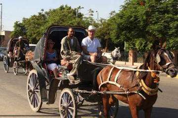 Aswan Horse and Carriage Ride