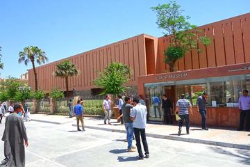 East Bank Temples and Luxor Museum Day Trip