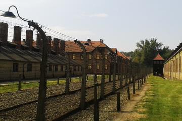 Auschwitz-Birkenau Memorial and Museum Guided Tour with Private Transfers from Cracow