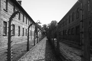 Auschwitz-Birkenau Memorial EXTENDED Guided Tour w Private Transfers from Cracow