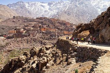 Full-Day Camel Riding and Hiking Tour in the Atlas Mountains from Marrakech
