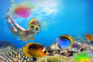 1-Hour Snorkeling Tour and Beach Club Admission with Lunch in Cozumel