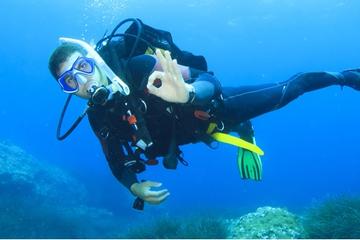Beginner Scuba Diving Course with Lunch in Cozumel