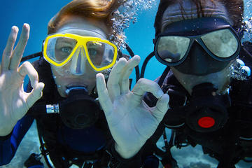 Cozumel Dive and Drive Tour with Ferry Ride from Playa del Carmen