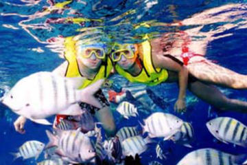 Dune Buggy Scenic Drive Plus Snorkeling and Chankanaab Park with Ferry from Playa del Carmen