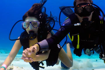 Half-Day Combo Tour with Intro to Scuba and Cozumel Tourwith Lunch