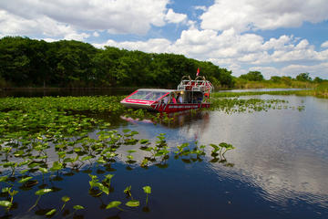 Everglades Air Boat Ride and Alligator Tour from Miami or Fort