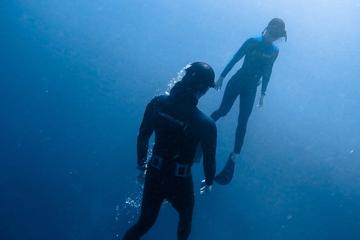 Discover Freediving Program in Punta Mita