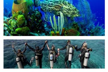 Scuba Diving Tour in Cham Island for certified divers or Beginners