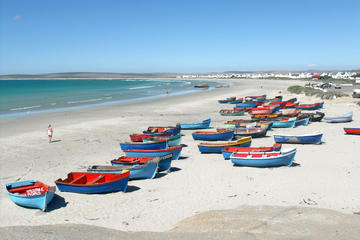 Cape West Coast Private Day Tour