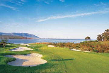 Full Day 18-Hole Golf, lunch in Hermanus winelands & visit Stony Point Penguins
