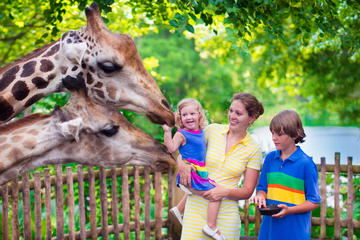 Full Day Cape Winelands Family private tour