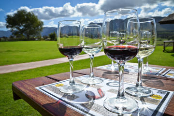 Private Tour: Cape Winelands Tour from Cape Town