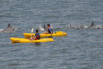 Sea Kayak and Cape Point Private Tour from Cape Town