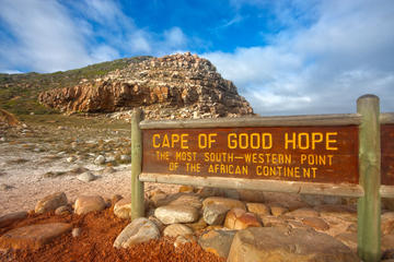 Snorkeling with Seals and Cape Peninsula Full-Day Private Tour