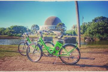 Buenos Aires Electric Bike Tour with Lunch