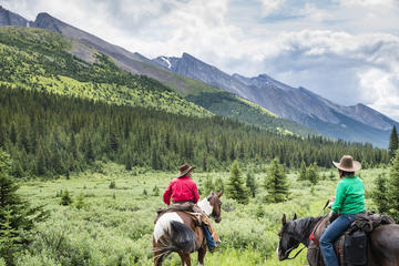 3-Day Stoney Creek Backcountry Tent Trip by Horseback