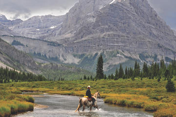 6-Day Cascade Valley Backcountry Tent Trip by Horseback