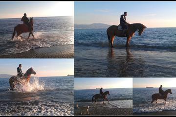 Horse Riding on Kalamata beach