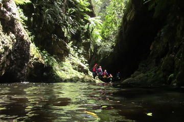 4-Hour Canyoning Trip in The Crags