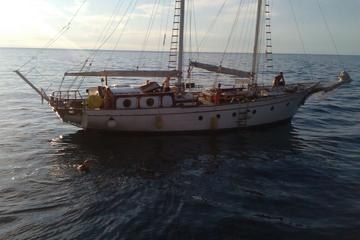 Kornati Cruising Tour with Lunch and Drinks from Zadar