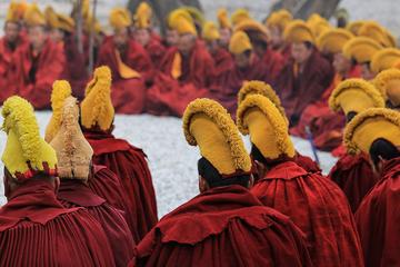 Explore Sera Monastery Monday to Saturday with Tibetan Guide