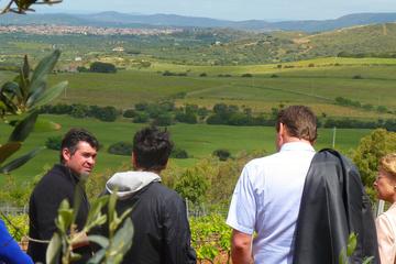 Food and Wine Tour to Sardinian Winery