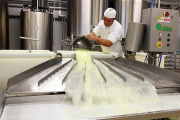 Sardinian Cheese Experience: Factory Visit and Cheese Tasting