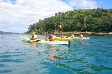 Half-Day Auckland North Head Guided Kayaking Tour
