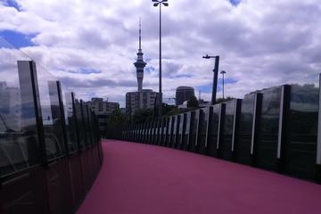 Auckland City Discovery Bike Tour