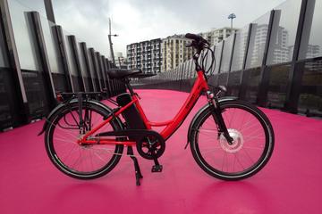 Auckland City Discovery E-Bike Tour