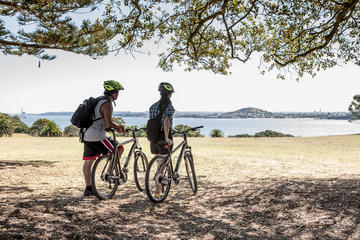 Auckland Waterfront Guided Bike Tour