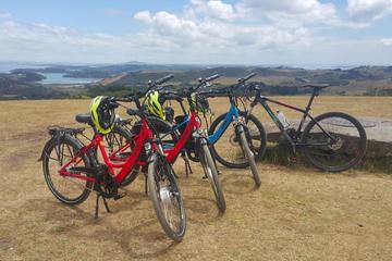 Leisure e-Bike Tour on Waiheke Island - departing from Auckland City