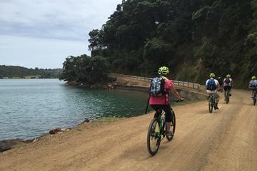 Waiheke Island Bike Tour Including Ziplining from Auckland