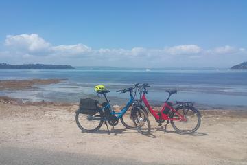 Waiheke Island e-Bike Tour Including Ziplining from Auckland