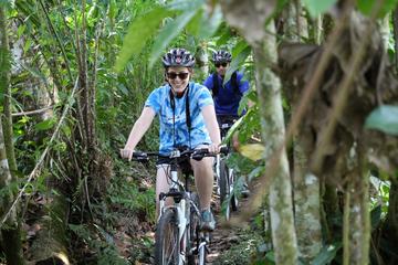 Bali Combination Rafting and Bamboo Forest Cycling