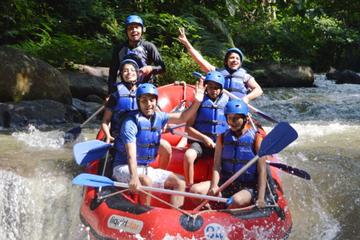 Bali Rafting and Ubud Tour
