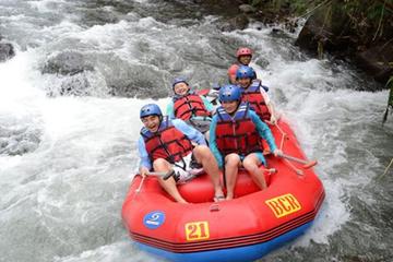 Bali White Water River Rafting