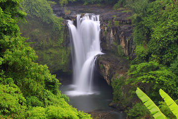 Best of Central Bali: Waterfall, Elephant Cave & Rice Fields