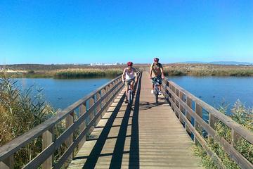 Albufeira Coast and Countryside Mountain Bike Tour