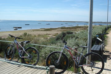 Moncarapacho - Tavira mountain and hybrid bike tour