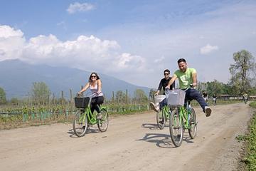 Bike and Wine Cousiño Macul Tour
