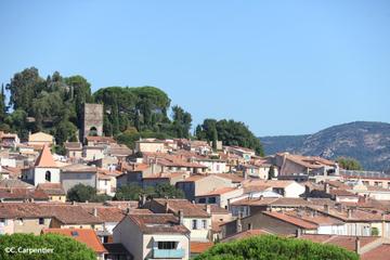 Private Transfer from Toulon Hyeres Airport to Cogolin