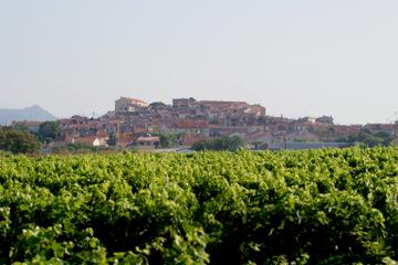 Private Transfer from Toulon Hyeres Airport to Puget sur Argens