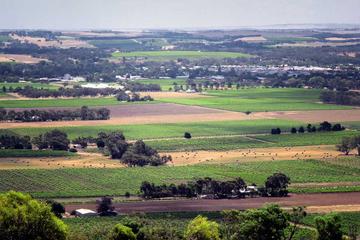 Northern Barossa Valley Small Group Day Trip from Adelaide or Glenelg