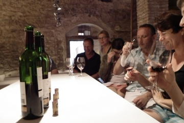 Private Wine and Oil Tour in the Priorat Wine Region
